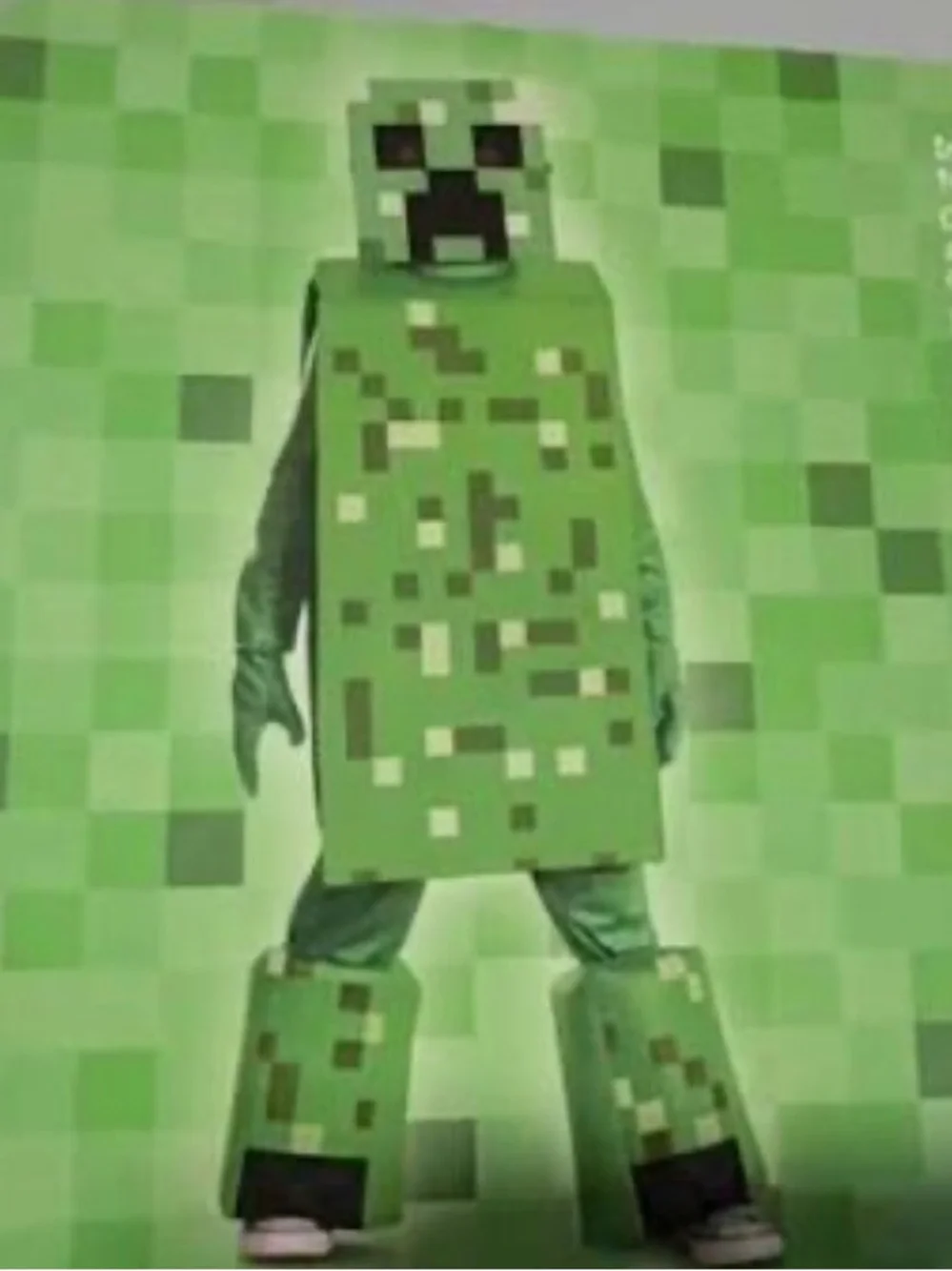Minecraft Creeper Costume - Picture 1 of 3